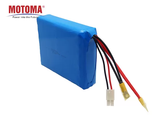 Batterij van het de Autopedlithium van 11.1V 20Ah de Elektrische met het Certificaat van UL MSDS kc